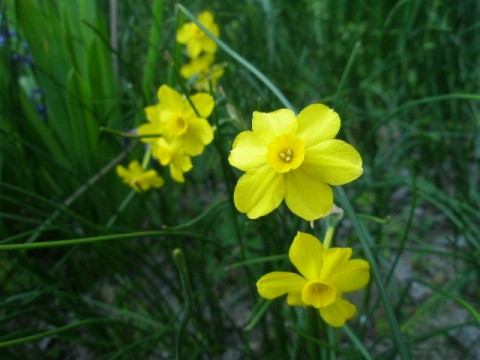 c0205806_17443384.jpg