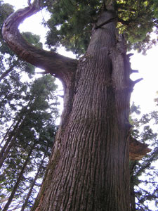 f0143412_11483832.jpg