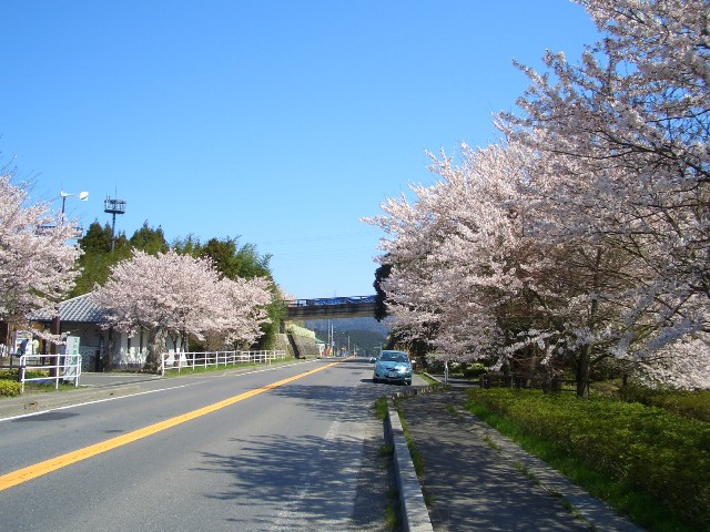 e0033713_16291480.jpg