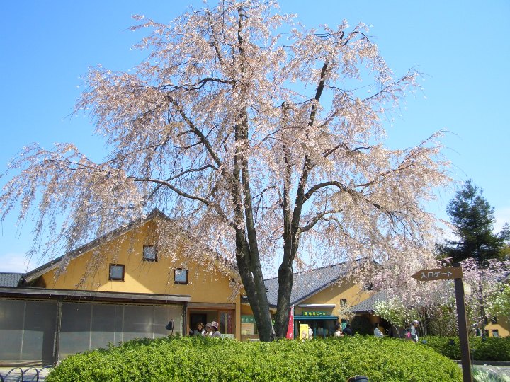 e0033713_16405637.jpg