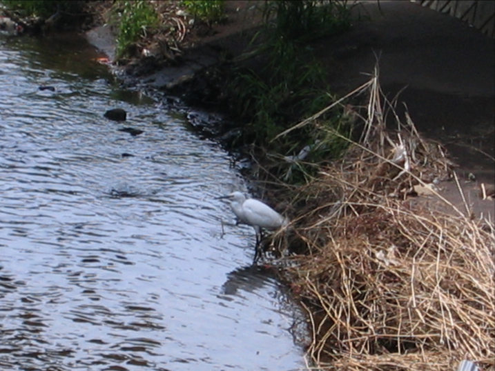 c0219815_2322286.jpg