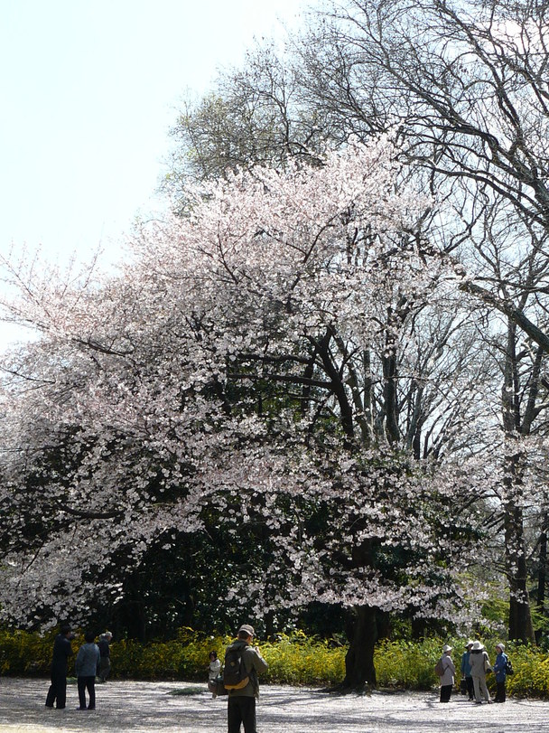 f0004019_11271961.jpg