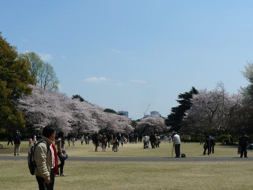 f0004019_11285112.jpg