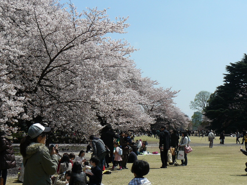 f0004019_1130161.jpg