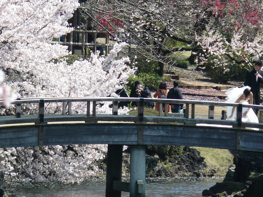 f0004019_11365856.jpg