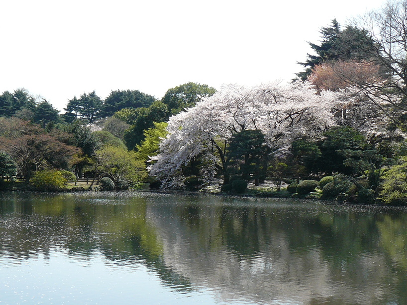 f0004019_11405429.jpg