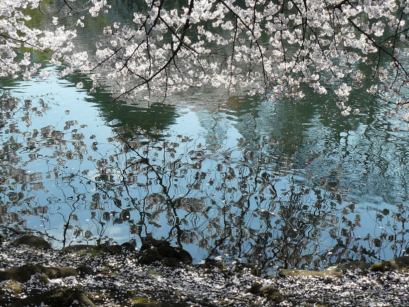 f0004019_11432599.jpg