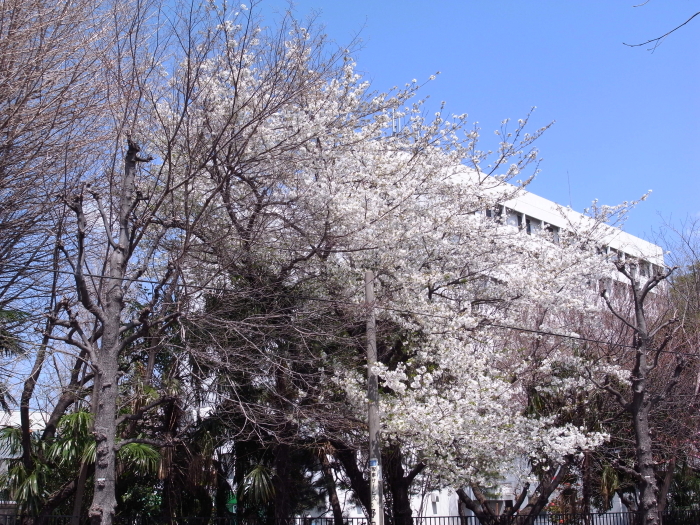 a0142320_0571617.jpg