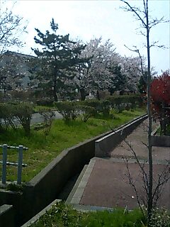 e0091220_17465393.jpg