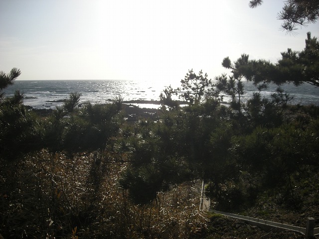 b0138522_215545.jpg