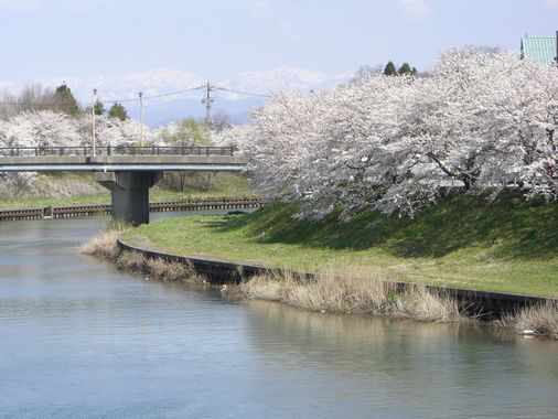 c0152123_182313100.jpg