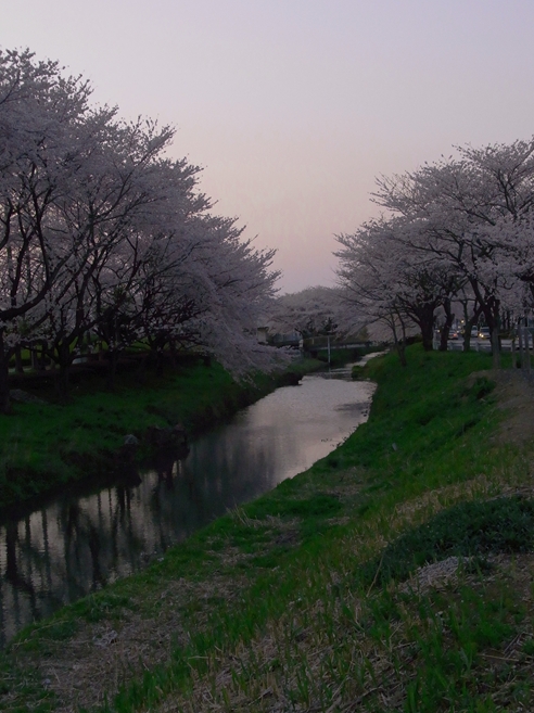 f0040525_20401753.jpg