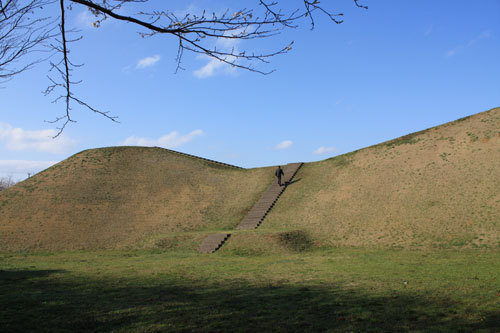 f0147025_1415634.jpg