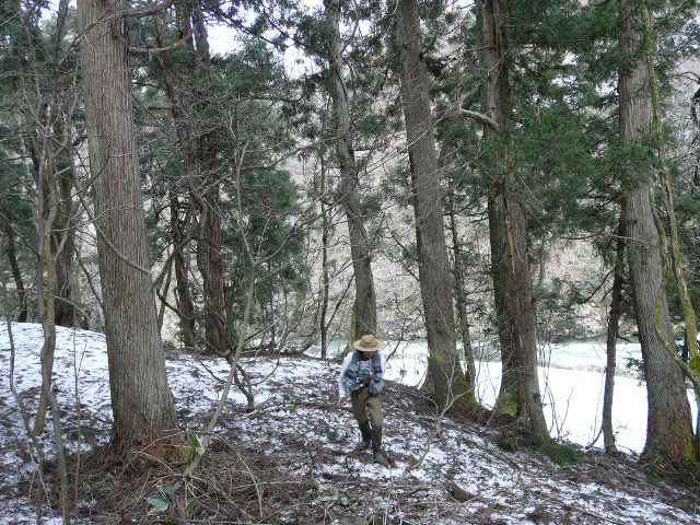 e0147226_2331085.jpg