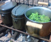 c0030327_23262848.jpg