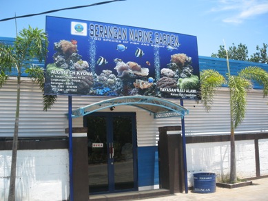 f0162528_1165689.jpg