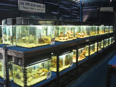 f0162528_1194645.jpg