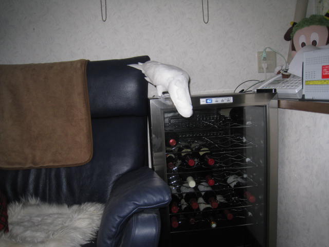 e0107730_23392915.jpg