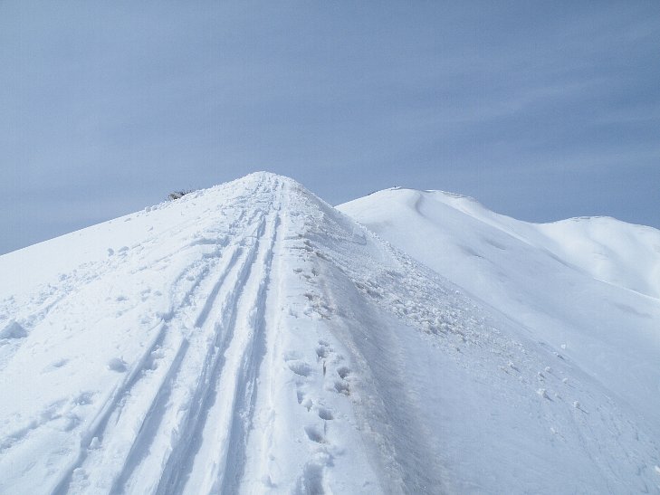 f0118332_22393152.jpg