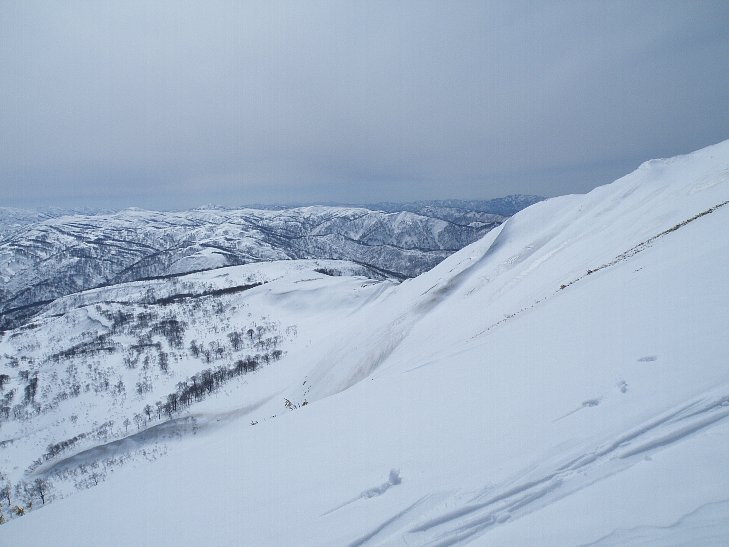 f0118332_22464492.jpg