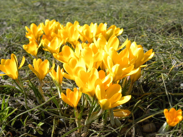 c0000134_15483979.jpg