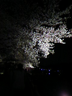 c0090534_16243325.jpg