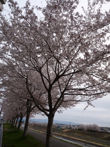 c0100534_20542542.jpg