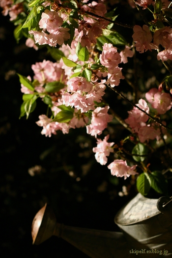 c0134734_2143541.jpg