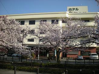 b0024439_817095.jpg