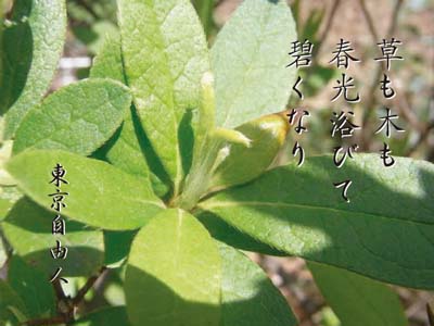 b0019140_12562473.jpg