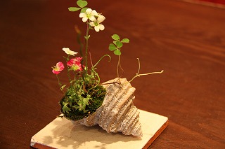 c0153740_22483542.jpg