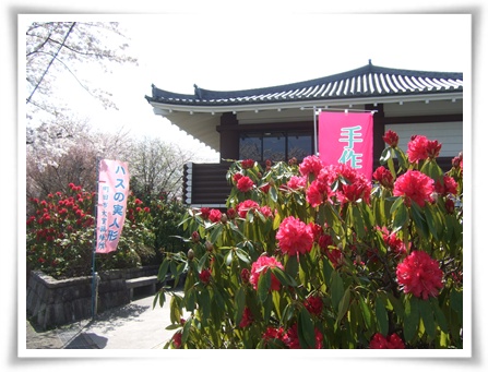 大賀藕絲館
