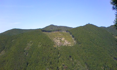 a0116442_13353317.jpg