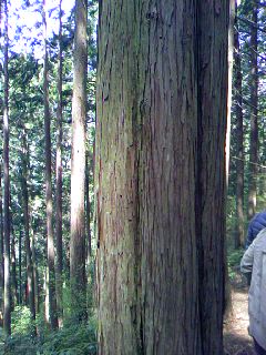 a0116442_14121278.jpg
