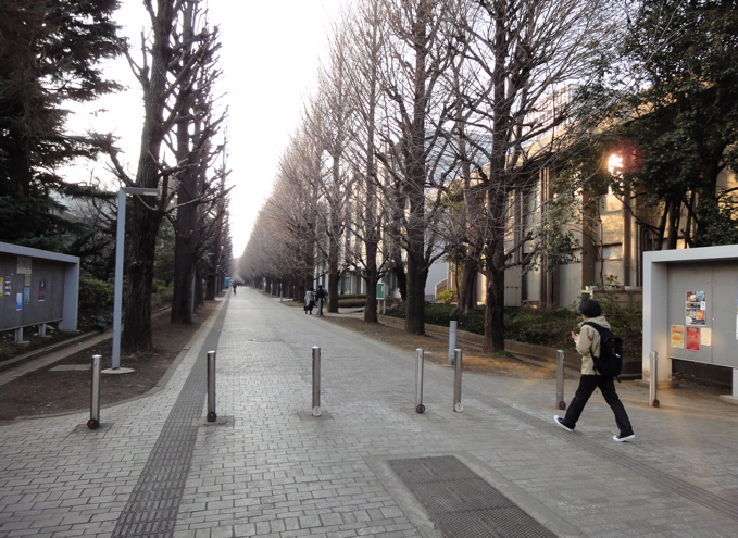 a0051443_21351029.jpg