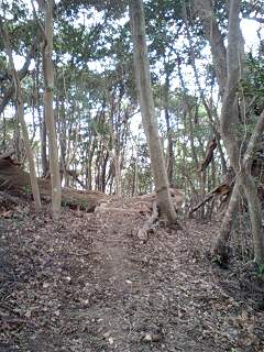 c0059543_10574886.jpg