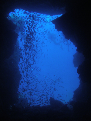 d0065247_15274349.jpg