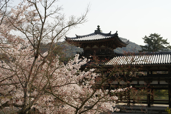 f0214649_528620.jpg