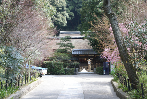 f0214649_530024.jpg