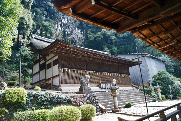 f0214649_5311021.jpg