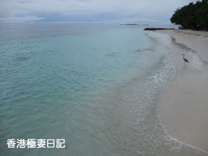 f0190653_821736.jpg