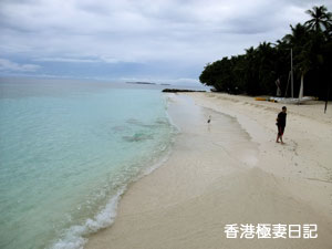 f0190653_834452.jpg