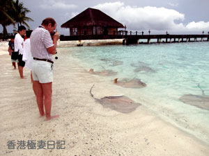 f0190653_841842.jpg