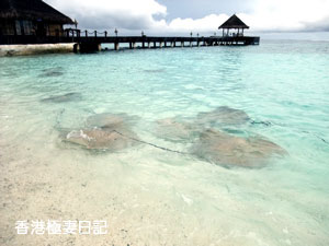 f0190653_844312.jpg