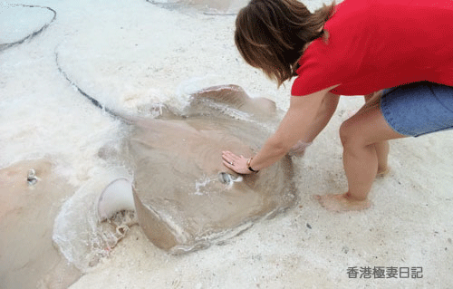 f0190653_864714.gif