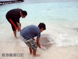 f0190653_871511.jpg