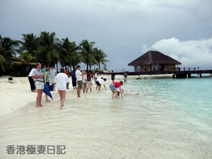 f0190653_875259.jpg