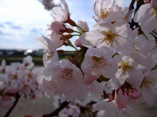 c0208355_16351530.jpg
