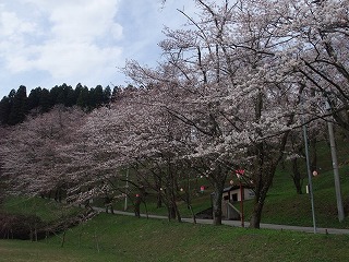 c0208355_16355438.jpg
