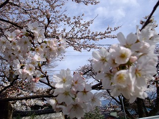c0208355_17143115.jpg